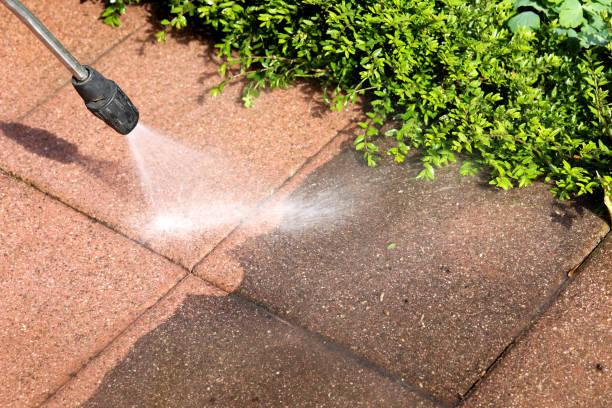 Best Roof Pressure Washing  in West Laurel, MD